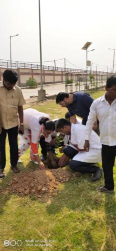 Environment Day 2022