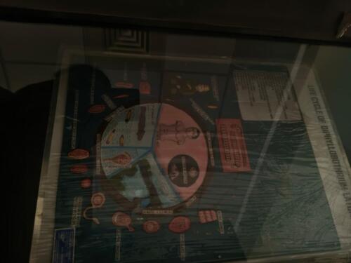 pics-0711-3